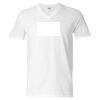 Softstyle® V-Neck T-Shirt Thumbnail